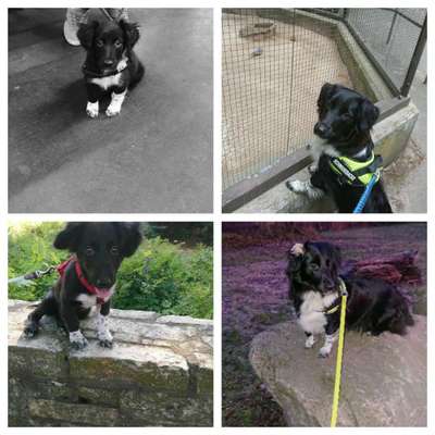 Vorher.... Nachher-Beitrag-Bild