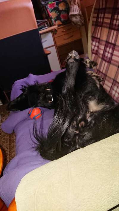 Die unbequemsten und lustigsten Schlafpositionen-Beitrag-Bild