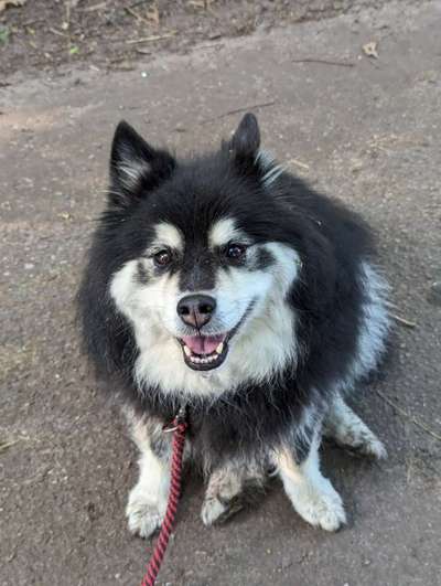 Ist das ein...?-Beitrag-Bild