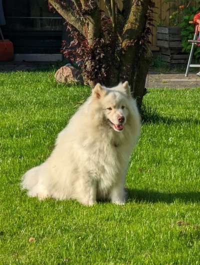 Ist das ein...?-Beitrag-Bild