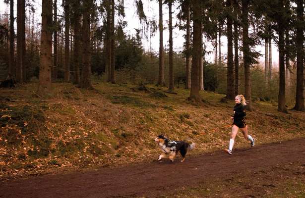 Hundetreffen-Canicross-Laufgruppe-Bild