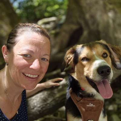 Hundetreffen-Hundekontakte knüpfen - Erfahrungen sammeln-Bild