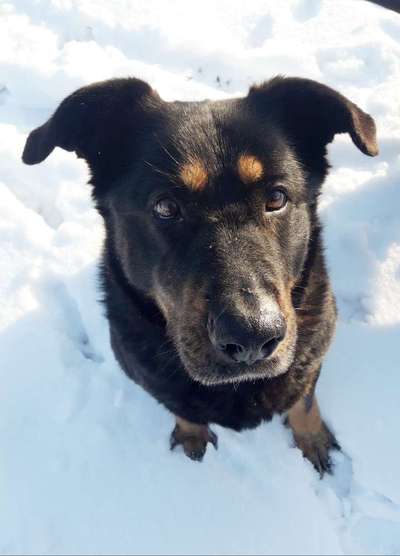 Fotochallenge Nr. 56 - geliebte Senioren-Beitrag-Bild