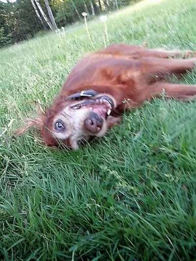 Un...scharf Bilder-Beitrag-Bild