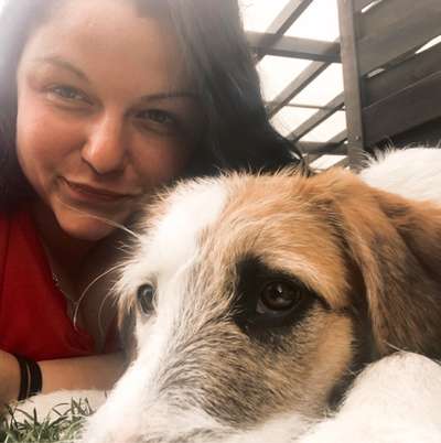 Hundetreffen-Hundetreff/Spielen/Gassi gehen-Profilbild