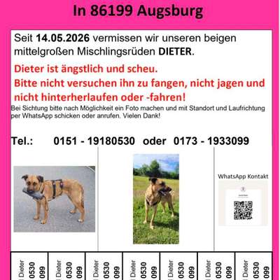 Suchmeldung-Dieter-Bild