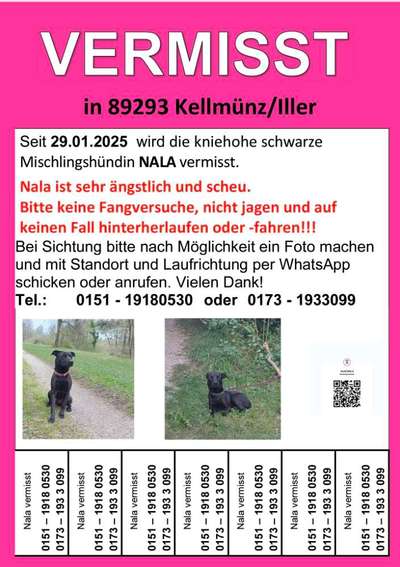 Suchmeldung-Nala-Bild