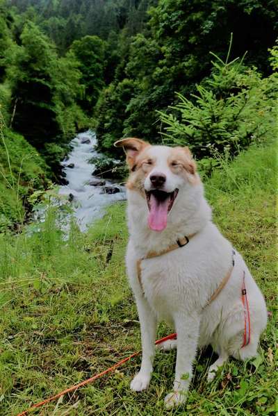 Lustige Grimassen & verrückte Posen-Beitrag-Bild