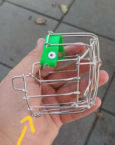 Wie sitzt mein Maulkorb / Maulkorb-Beratung-Beitrag-Bild