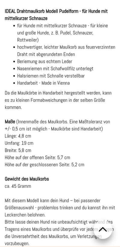 Wie sitzt mein Maulkorb / Maulkorb-Beratung-Beitrag-Bild