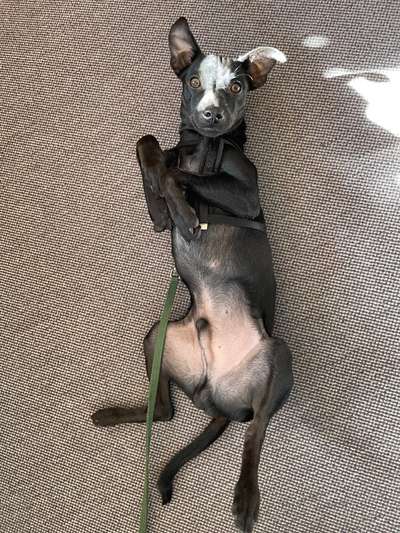 Fotochallenge Nr.65-Beitrag-Bild