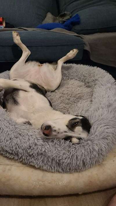 Die unbequemsten und lustigsten Schlafpositionen-Beitrag-Bild