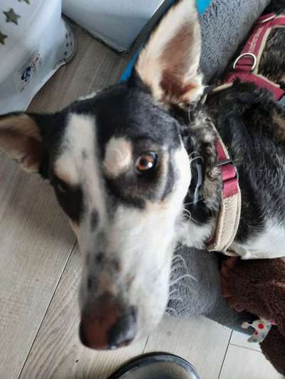 Blick fürs Detail!-Beitrag-Bild