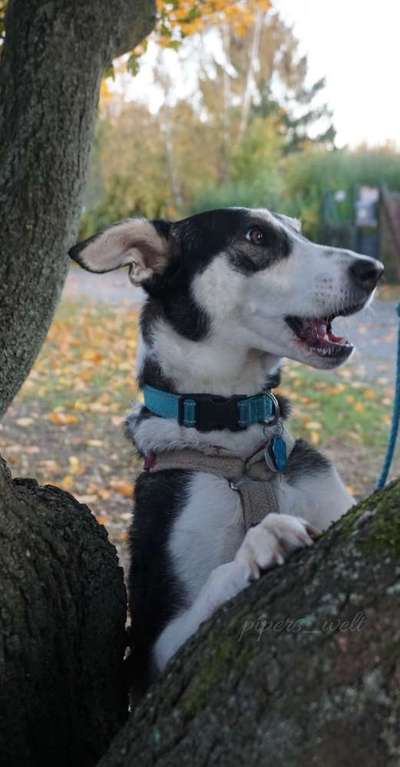 Her mit dem Grimassen-Beitrag-Bild