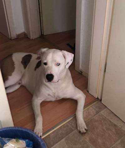 Vorurteile-Beitrag-Bild