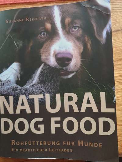 Studien zum Thema Unterschied Hund vs. Wolf-Beitrag-Bild