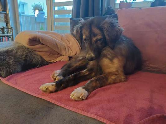 19. Farben  Fottochallenge :
Lieblingsfarbe-Beitrag-Bild