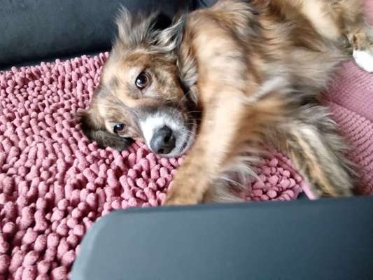 Freddys Kummerkasten-Beitrag-Bild