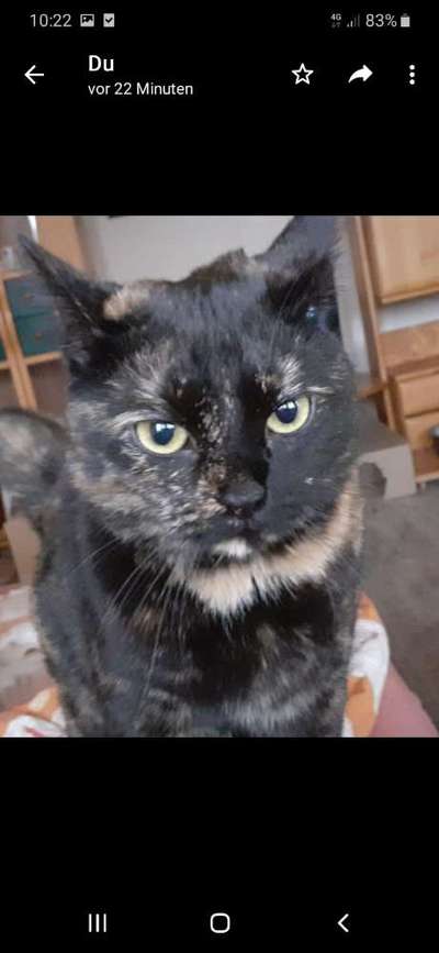 Warum liebst du deinen Hund?-Beitrag-Bild