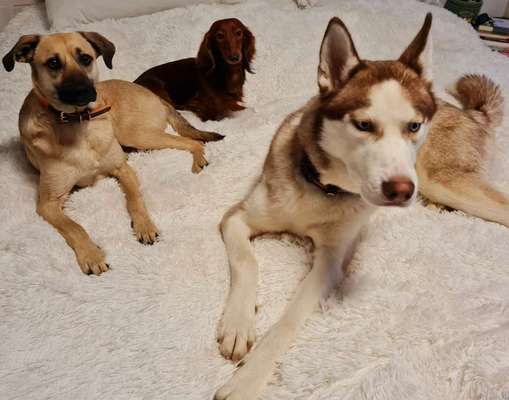 Fotochallenge Nr. 67: Euer Lieblingsbild-Beitrag-Bild