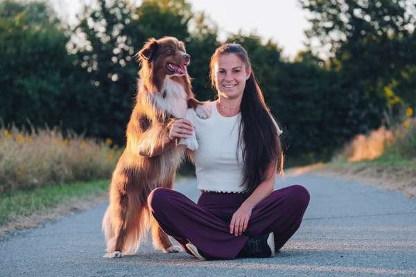 Hunderunde-Beitrag-Bild