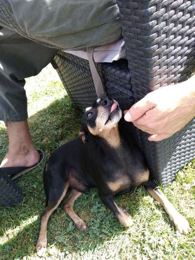 Handy-Foto Challange Nr. 10-Beitrag-Bild