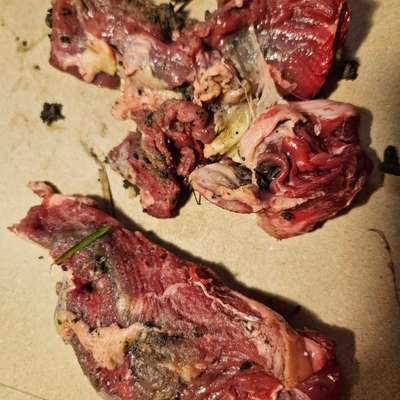 Giftköder-Giftköder-Bild