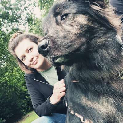 Hundetreffen-Spaziergang durch den Schöneberg-Profilbild