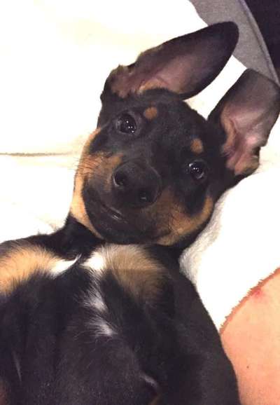 Sie werden so schnell erwachsen ...-Beitrag-Bild