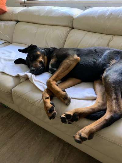 Die unbequemsten und lustigsten Schlafpositionen-Beitrag-Bild