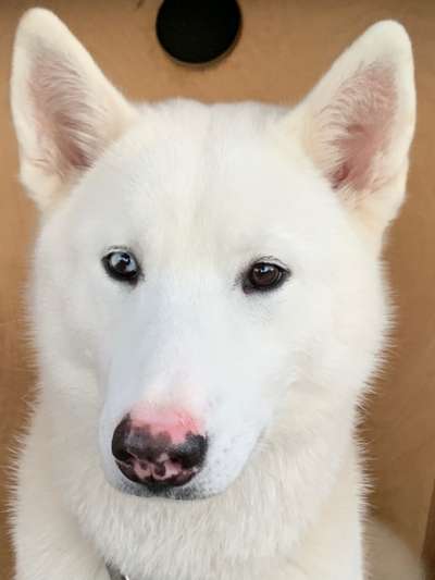 Fotochallange Nr. 57     PORTRÄT.   Beendet!!!!!!!!-Beitrag-Bild