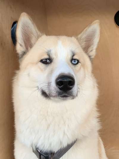 Fotochallange Nr. 57     PORTRÄT.   Beendet!!!!!!!!-Beitrag-Bild