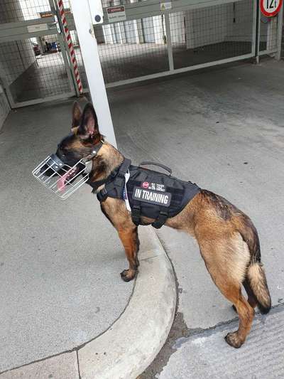 Ungewollte Streicheleinheiten etc.-Beitrag-Bild