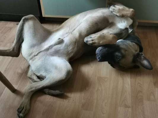 Fotochallenge Nr.65-Beitrag-Bild