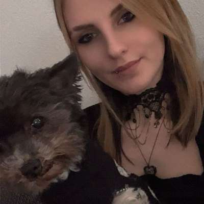 Hundetreffen-Gassirunden in Oberkochen (Umgebung)