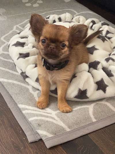 Sie werden so schnell erwachsen ...-Beitrag-Bild