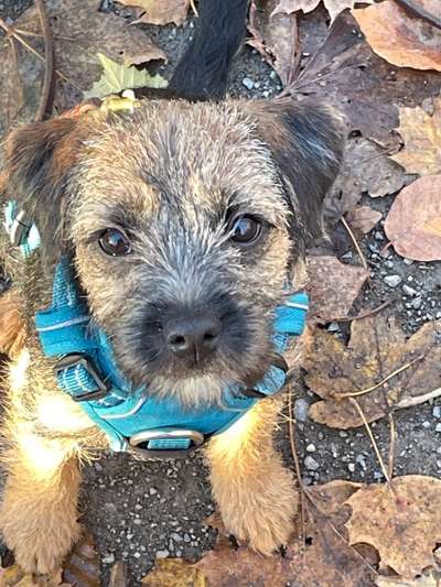 Fotochallange Nr. 57     PORTRÄT.   Beendet!!!!!!!!-Beitrag-Bild