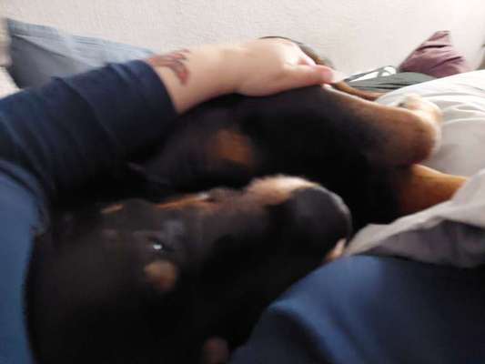 Gemeinsames Kuscheln im Bett!-Beitrag-Bild