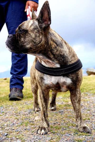 Vorurteile-Beitrag-Bild