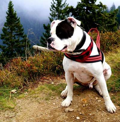 Vorurteile-Beitrag-Bild