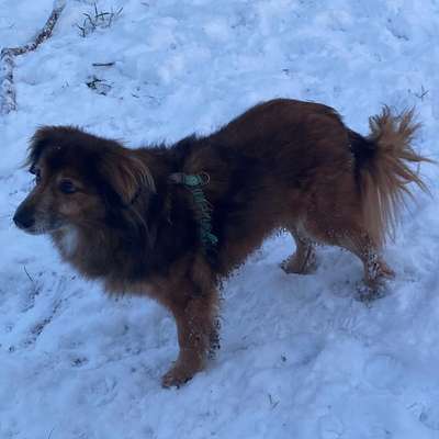 Suchmeldung-Yebo-Bild