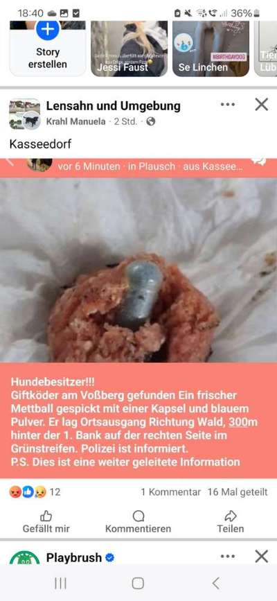 Giftköder-Giftköder-Bild