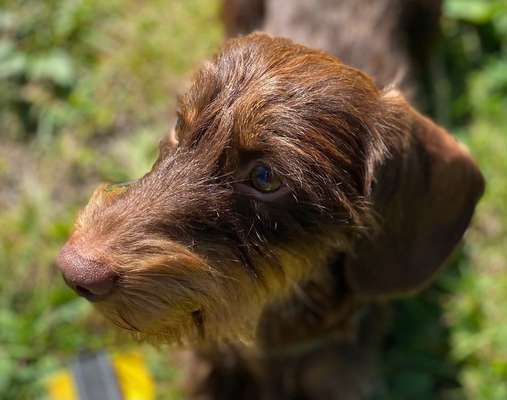 Fotochallange Nr. 57     PORTRÄT.   Beendet!!!!!!!!-Beitrag-Bild