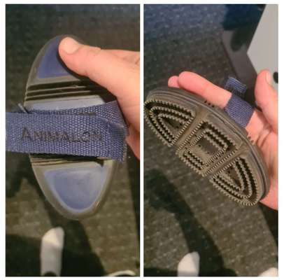 Olde English Bulldogge-Beitrag-Bild