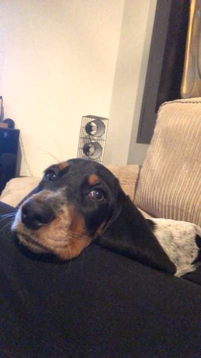 147. Foto Challenge: Bettelblick-Beitrag-Bild