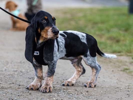 Lieblingsbild-Beitrag-Bild