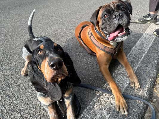 25. Farben Fotochallenge ,,Bernstein"-Beitrag-Bild