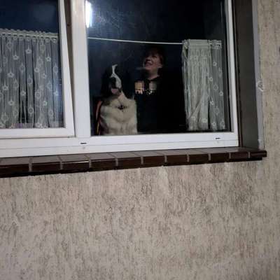 Wie habt ihr den Silvesterabend verbracht?-Beitrag-Bild