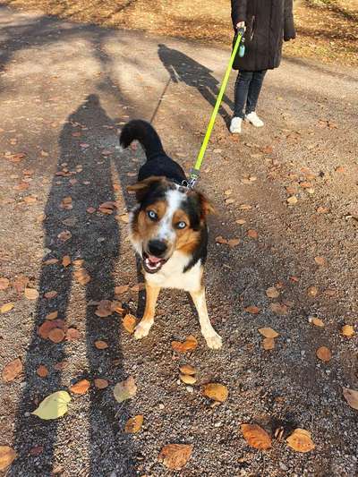 Fotochallange Nr. 6 Die irrsten Blicke-Beitrag-Bild