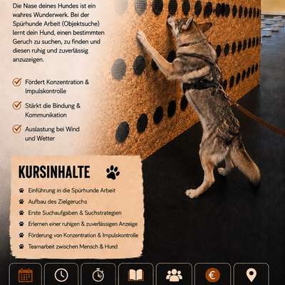 Hundetreffen-Spürhunde Workshop-Bild